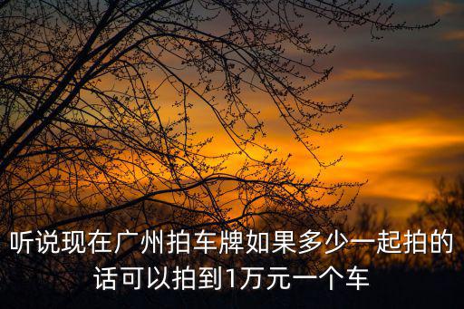 聽說現在廣州拍車牌如果多少一起拍的話可以拍到1萬元一個車