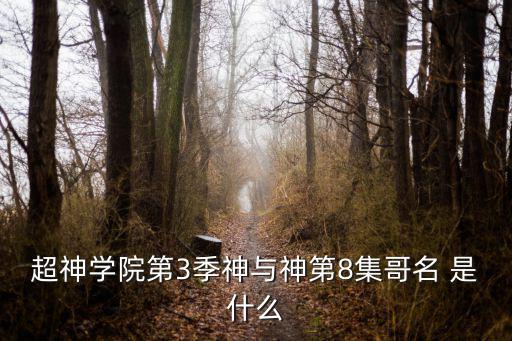 超神學(xué)院第3季神與神第8集哥名 是什么