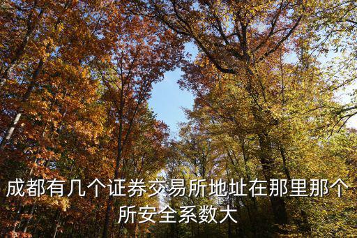 成都市錦江區證券交易所網點，成都有幾個證券交易所地址在那里那個所安全系數大