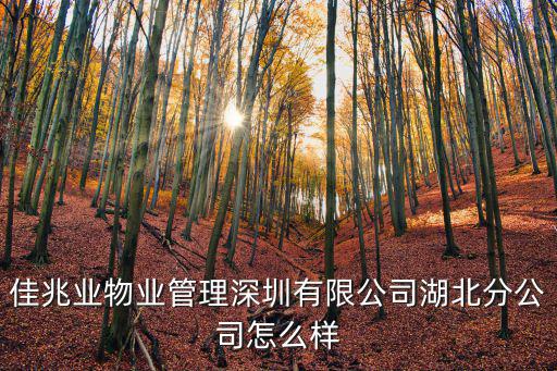佳兆業物業管理深圳有限公司湖北分公司怎么樣