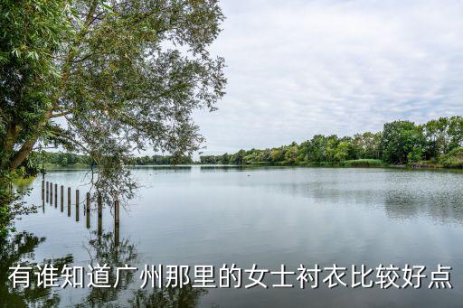 廣州襯衫定制哪里好，襯衫定制去哪里比較好