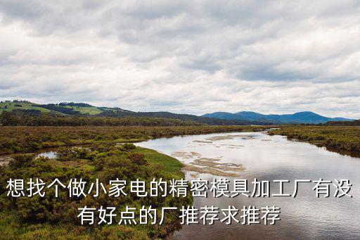 想找個做小家電的精密模具加工廠有沒有好點的廠推薦求推薦