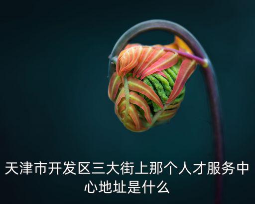 天津市開發區三大街上那個人才服務中心地址是什么