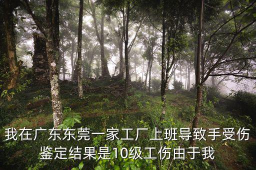 我在廣東東莞一家工廠上班導(dǎo)致手受傷鑒定結(jié)果是10級工傷由于我
