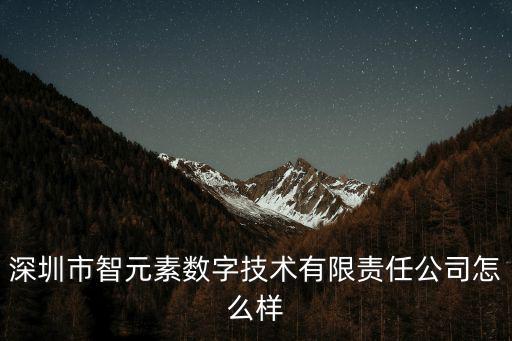 深圳市智元素數(shù)字技術(shù)有限責(zé)任公司怎么樣