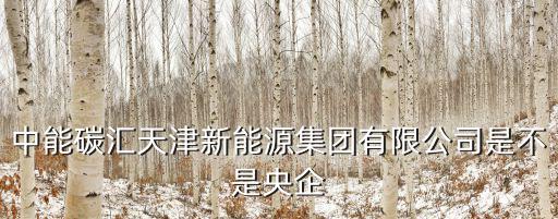 中能碳匯天津新能源集團有限公司是不是央企