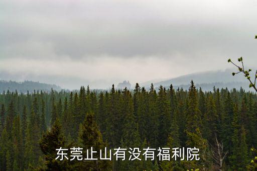 東莞止山有沒有福利院