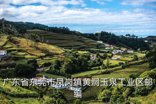 廣東省東莞市鳳崗鎮黃洞玉泉工業區郵編