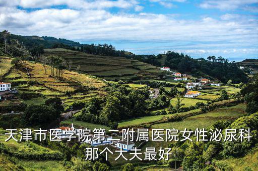 天津市醫(yī)學(xué)院第二附屬醫(yī)院女性泌尿科那個大夫最好