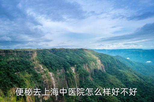 便秘去上海中醫院怎么樣好不好
