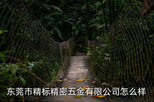 東莞精測(cè)精密五金設(shè)備有公司，精密五金廠