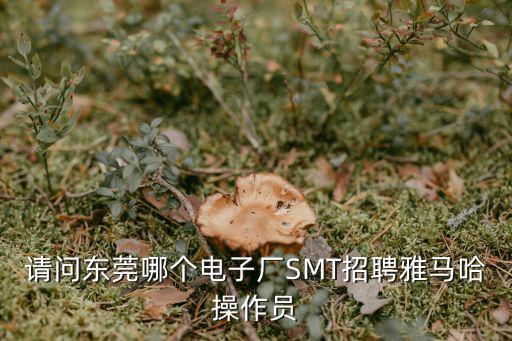 請問東莞哪個電子廠SMT招聘雅馬哈操作員