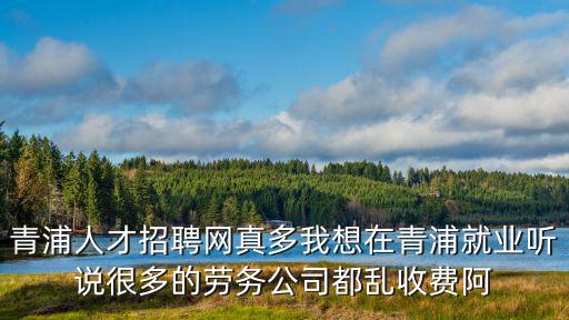 青浦人才招聘網真多我想在青浦就業聽說很多的勞務公司都亂收費阿