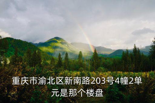 重慶市渝北區(qū)新南路203號(hào)4幢2單元是那個(gè)樓盤