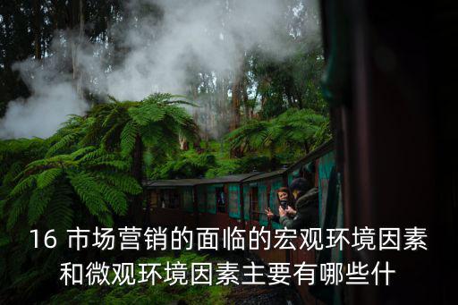16 市場營銷的面臨的宏觀環(huán)境因素和微觀環(huán)境因素主要有哪些什