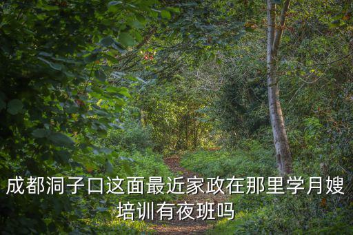 成都市洞子口有沒有上通宵小孩，成都哪些地方可以玩通宵具體點哈