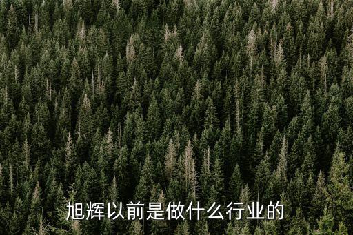 旭輝以前是做什么行業(yè)的