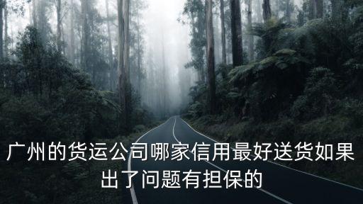 廣州誠(chéng)心物流有限公司，番禺哪里有跨省搬家貨運(yùn)