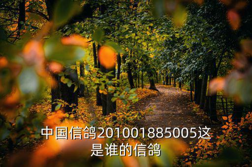 廣州陳廣生鴿友，信鴿2015230381574足環(huán)內(nèi)套有鋁制足環(huán)寫陽(yáng)光574翅膀上六個(gè)章是