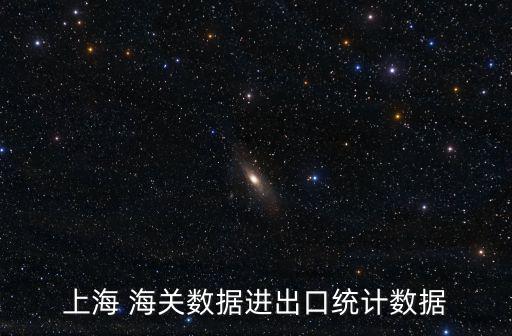 上海 海關(guān)數(shù)據(jù)進(jìn)出口統(tǒng)計(jì)數(shù)據(jù)