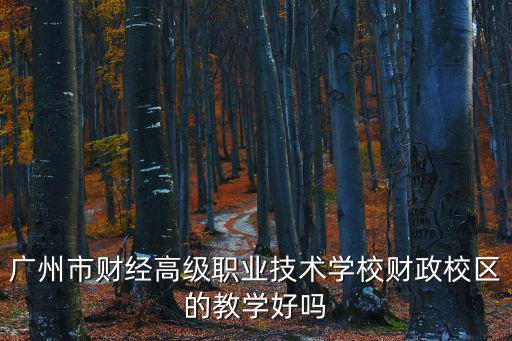 廣州市財經(jīng)高級職業(yè)技術學校財政校區(qū)的教學好嗎