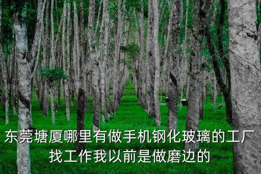 東莞塘廈哪里有做手機鋼化玻璃的工廠找工作我以前是做磨邊的
