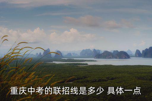 重慶中考的聯(lián)招線是多少 具體一點(diǎn)