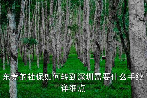 東莞的社保如何轉到深圳需要什么手續詳細點
