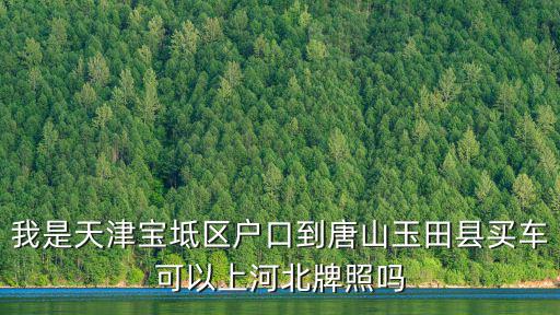 天津市買車可以上河北省牌照嗎，在天津買車能上河北省牌照么