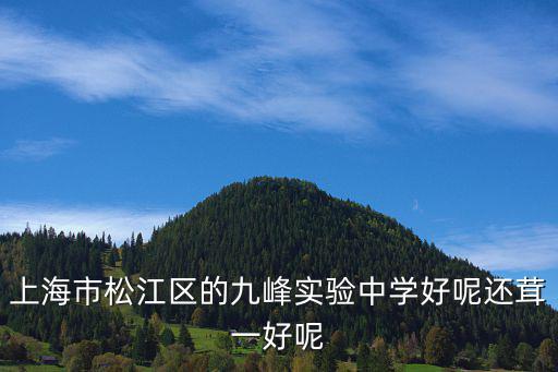 上海市松江區(qū)南九峰北門(mén)e棧，上海市松江區(qū)的九峰實(shí)驗(yàn)中學(xué)好呢還茸一好呢