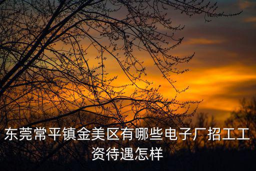 東莞常平鎮金美區有哪些電子廠招工工資待遇怎樣