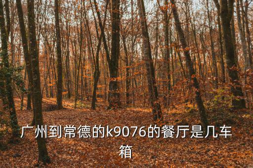 廣州到常德的k9076的餐廳是幾車箱