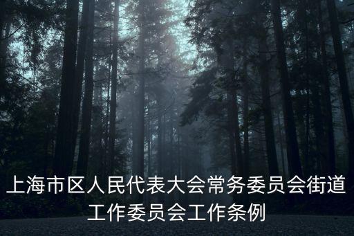 上海市區人民代表大會常務委員會街道工作委員會工作條例