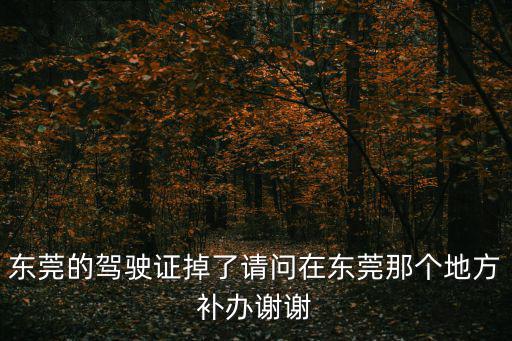 東莞的駕駛證掉了請(qǐng)問在東莞那個(gè)地方補(bǔ)辦謝謝