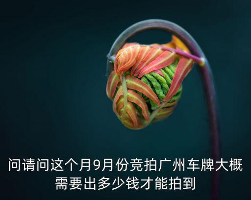 問請問這個月9月份競拍廣州車牌大概需要出多少錢才能拍到