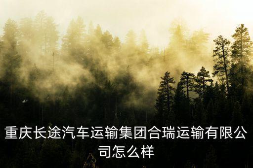 重慶長途汽車運輸集團合瑞運輸有限公司怎么樣