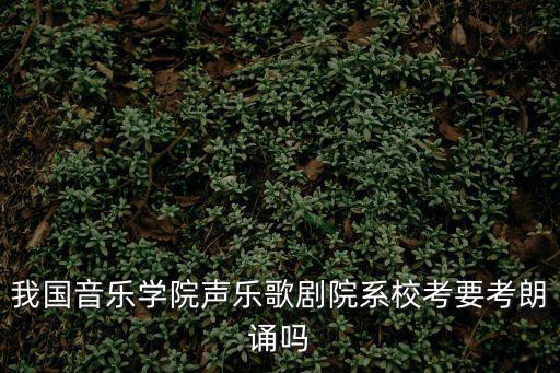 我國音樂學院聲樂歌劇院系校考要考朗誦嗎