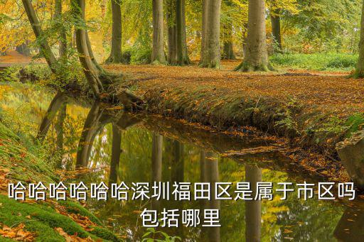 深圳樂山居 福田，深圳福田區的華強東南西北是什么意思怎么分的