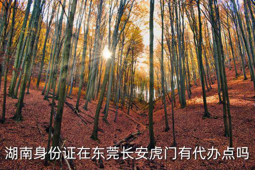 湖南身份證在東莞長安虎門有代辦點嗎
