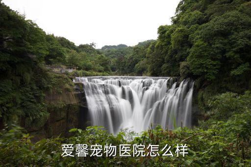 愛馨寵物醫院怎么樣
