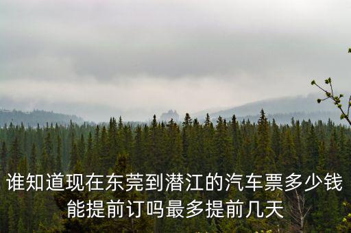 誰知道現在東莞到潛江的汽車票多少錢能提前訂嗎最多提前幾天