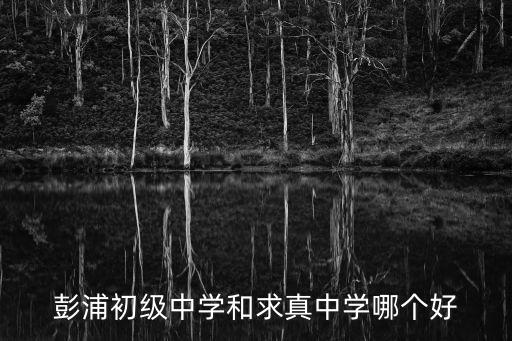 彭浦初級中學和求真中學哪個好