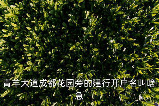 青羊大道成都花園旁的建行開戶名叫啥急