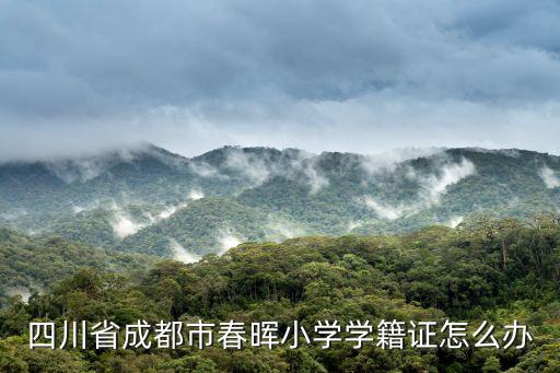 四川省成都市春暉小學學籍證怎么辦