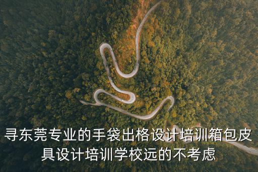 尋東莞專業(yè)的手袋出格設計培訓箱包皮具設計培訓學校遠的不考慮