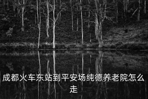 成都市平安場養老中心，成都火車東站到平安場純德養老院怎么走