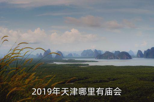 2019年天津哪里有廟會