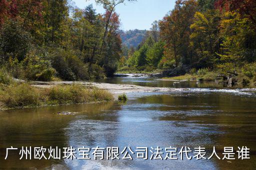 廣州歐燦珠寶有限公司法定代表人是誰