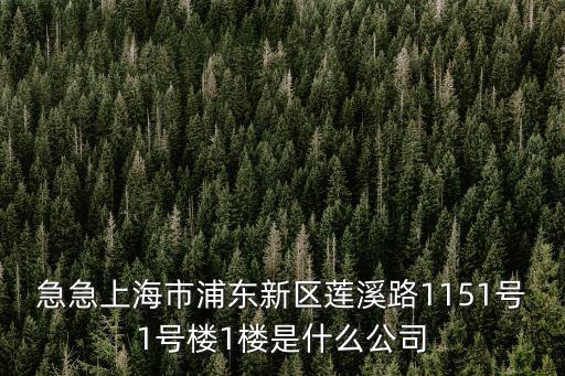 上海市滬正納米，上海市河南南路33號23樓a座是家什么公司