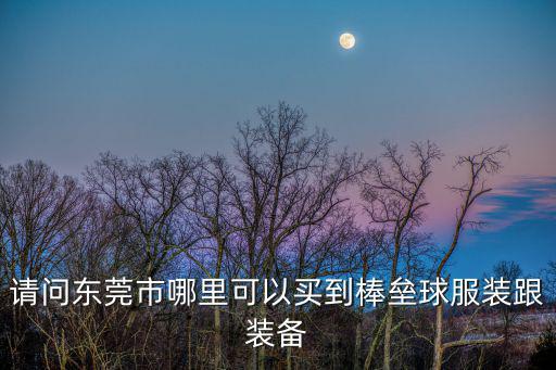 請問東莞市哪里可以買到棒壘球服裝跟裝備